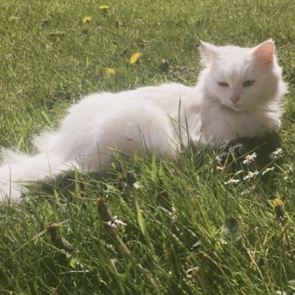 Meet your Posher, Lils.